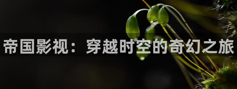 青苹果私人影院yy04080