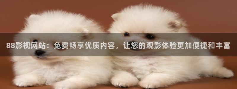 私人久久高清影院